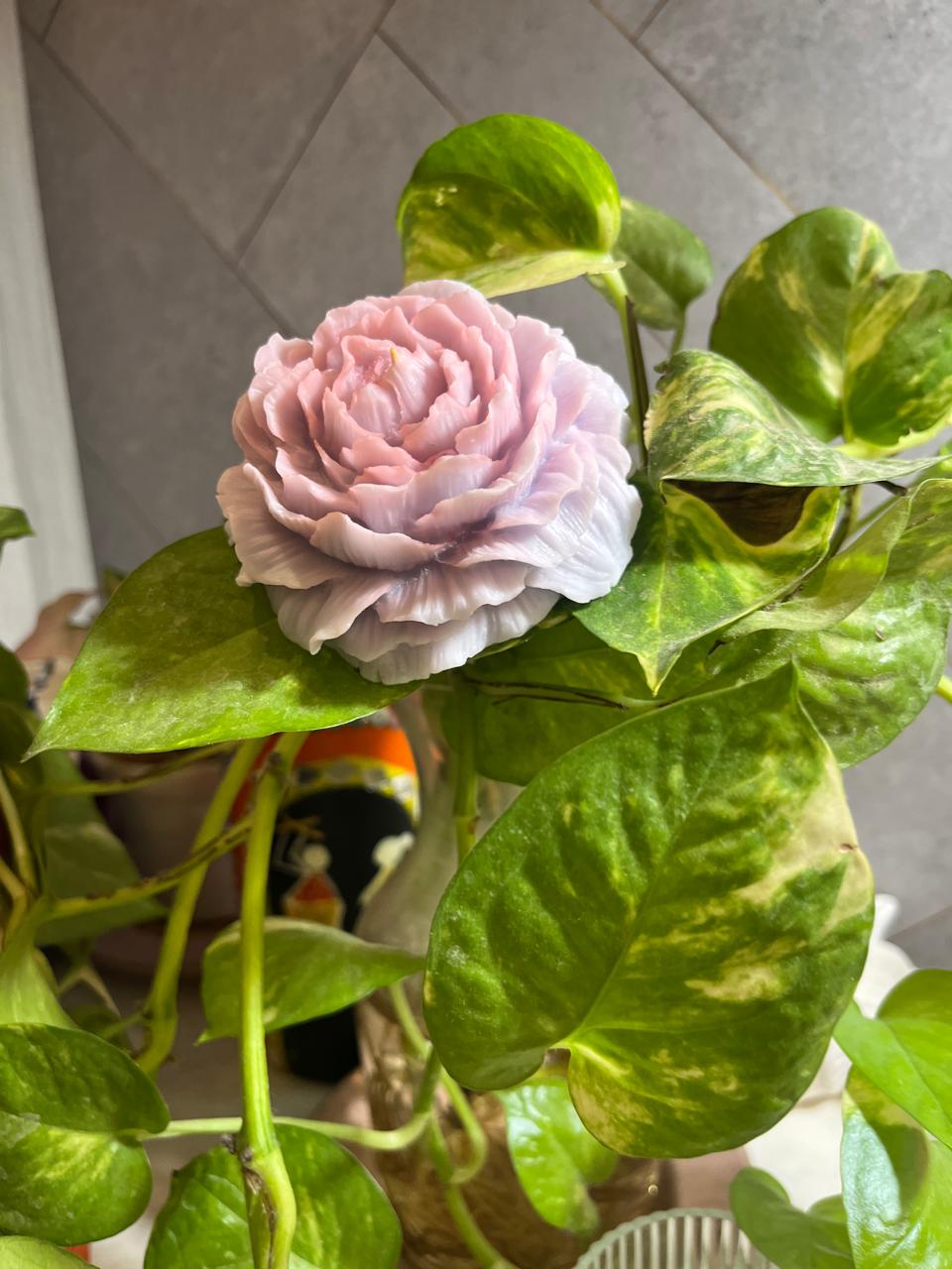 Premium Big Peony Candle